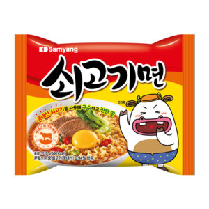 Beef noodles